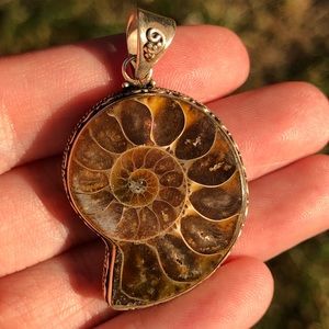 Large Nautilus Ammonite Pendant in Sterling Silver